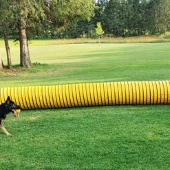 Agility Heavy Duty Dog Tunnel 24" X 20' -Puppy`s Store 350766 7 full 96836.1652382064