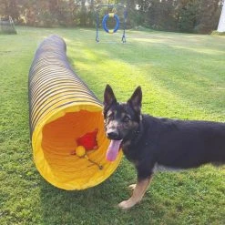 Agility Heavy Duty Dog Tunnel 24" X 20' -Puppy`s Store 350766 8 full 75675.1652382064