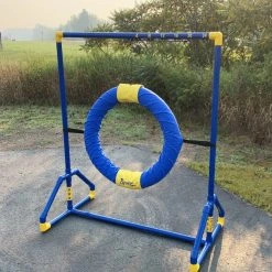 Agility Competition Tire Jump -Puppy`s Store 350771 13 full 36191.1650278723