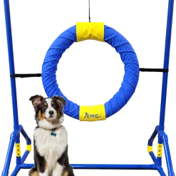 Agility Competition Tire Jump -Puppy`s Store 350771 15 full 60626.1650278723