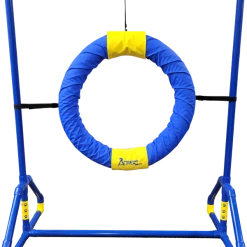 Agility Competition Tire Jump