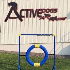 Agility Competition Tire Jump -Puppy`s Store 350771 9 full 50521.1650278723