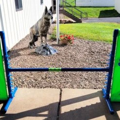Agility Angled Wing Jump - Competition Size -Puppy`s Store 350772 8 full 00035.1638911507