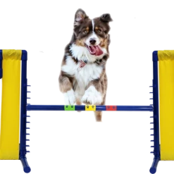 Agility Cascading Wing Jump- Competition Size -Puppy`s Store 350773 8 full 67184.1643644144