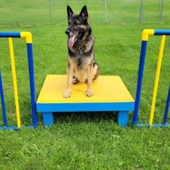 Agility Free Standing Wings -Puppy`s Store 350774 4 full 68231.1638911525
