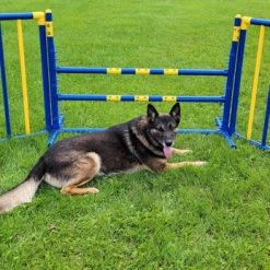 Agility Free Standing Wings -Puppy`s Store 350774 6 full 02496.1638911528