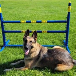 Agility Fixed Base Jump - Competition Size -Puppy`s Store 350778 4 full 30129.1638911520