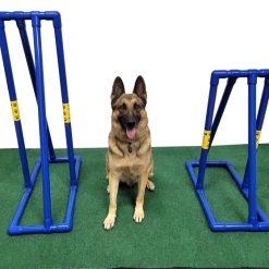 Agility PVC Dog Walk Center Support -Puppy`s Store 350783 6 00515.1663684242