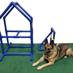 Agility Dog Walk Bases W/Side Ramps 48" -Puppy`s Store 350788 2 95126.1666353475