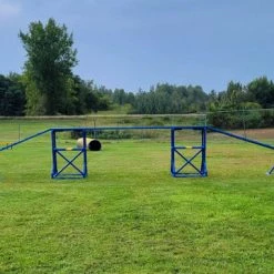 Agility PVC Deluxe Double Dog Walk Bases W/Side Ramps -Puppy`s Store 350789 7 93095.1663686977