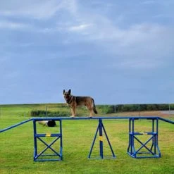 Agility PVC Deluxe Double Dog Walk Bases W/Side Ramps -Puppy`s Store 350789 8 83058.1664378269