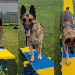 Agility Aluminum Teeter Plank -Puppy`s Store 350791 16 93044.1658848346