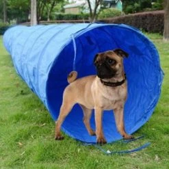 Agility Dog Tunnel W/ Carry Bag -Puppy`s Store 3520515.1 05783.1638911385