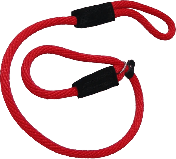 Heavy Nylon Mendota Slip Leash 1 Heavy Nylon Mendota Slip Leash