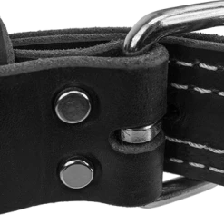 Center D-Ring Leather Dog Collar 1.5" -Puppy`s Store 401615 3 full 39535.1638911414