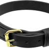 Military Spec Leather Dog Collar 1.25"