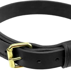 Military Spec Leather Dog Collar 1.25"