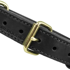 Military Spec Leather Dog Collar 1.25" -Puppy`s Store 401619BK 1 full 52854.1638911371