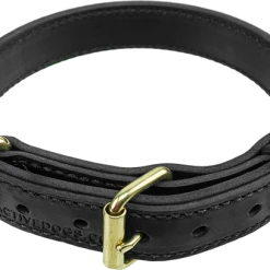 Military Spec Leather Dog Collar 1.25" -Puppy`s Store 401619BK full 94973.1638911379