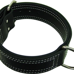 Center D-Ring Leather Dog Collar 2" 8 Center D-Ring Leather Dog Collar 2" -Puppy`s Store 401620 23 2 full 11537.1638911407