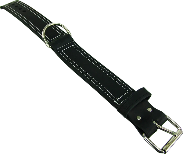 Center D-Ring Leather Dog Collar 2" 5 Center D-Ring Leather Dog Collar 2" - Image 5