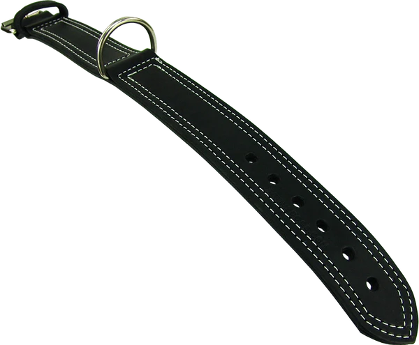 Center D-Ring Leather Dog Collar 2" 6 Center D-Ring Leather Dog Collar 2" - Image 6