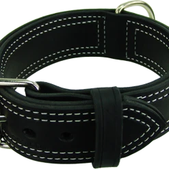Center D-Ring Leather Dog Collar 2"