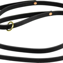 Double Handle 1/2" Leather Dog Leash 6'
