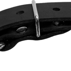 Single Layer Center D-Ring Leather Dog Collar 7 Single Layer Center D-Ring Leather Dog Collar -Puppy`s Store 401708 1 full 51957.1638911426