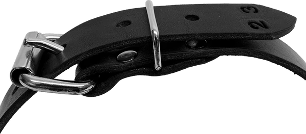 Single Layer Center D-Ring Leather Dog Collar 3 Single Layer Center D-Ring Leather Dog Collar - Image 3