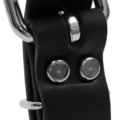 Single Layer Center D-Ring Leather Dog Collar 9 Single Layer Center D-Ring Leather Dog Collar -Puppy`s Store 401708 2 full 92288.1638911412