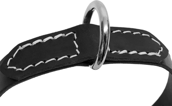 Single Layer Center D-Ring Leather Dog Collar 4 Single Layer Center D-Ring Leather Dog Collar - Image 4