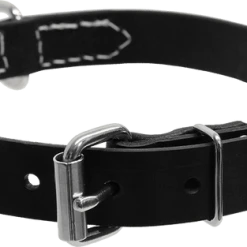 Single Layer Center D-Ring Leather Dog Collar