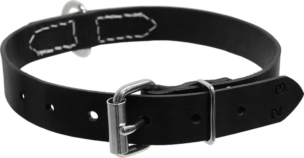 Single Layer Center D-Ring Leather Dog Collar 1 Single Layer Center D-Ring Leather Dog Collar