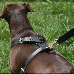 Small Dog Heavy Duty Leather Harness -Puppy`s Store 401711dog full 48068.1638911408