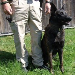 Braided Leather Dog Collar 1.5" -Puppy`s Store 401726 15 full 78972.1638911441