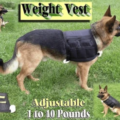 10 Lb Dog Weight Vest - Large -Puppy`s Store 402610 1 full 92237.1638911338