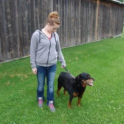 Leather Pull Tab/Leash With Herm Sprenger Snap -Puppy`s Store 407015 5 full 56759.1638911418