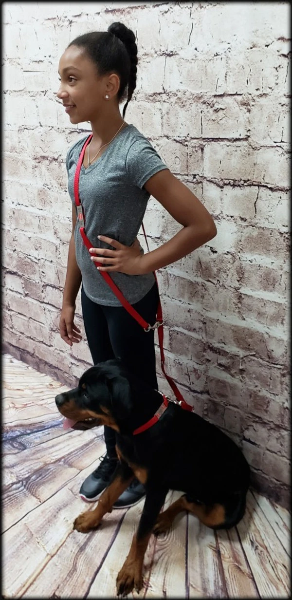 Service Dog Collar W/ Chrome Service Dog ID Tag 10 Service Dog Collar W/ Chrome Service Dog ID Tag - Image 10