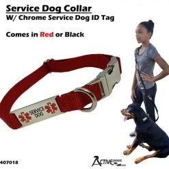 Service Dog Collar W/ Chrome Service Dog ID Tag 23 Service Dog Collar W/ Chrome Service Dog ID Tag -Puppy`s Store 407018 1 full 33525.1638911471