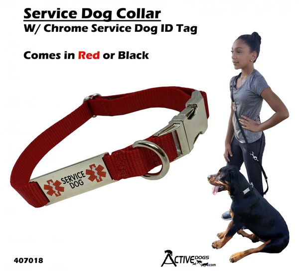 Service Dog Collar W/ Chrome Service Dog ID Tag 12 Service Dog Collar W/ Chrome Service Dog ID Tag - Image 12