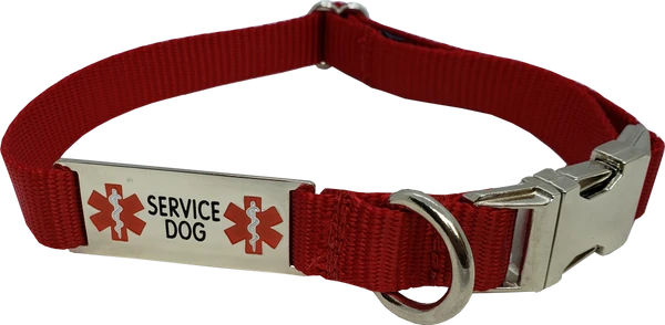 Service Dog Collar W/ Chrome Service Dog ID Tag 1 Service Dog Collar W/ Chrome Service Dog ID Tag