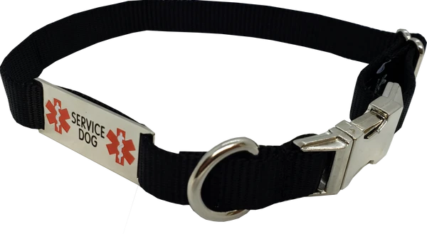 Service Dog Collar W/ Chrome Service Dog ID Tag 2 Service Dog Collar W/ Chrome Service Dog ID Tag - Image 2