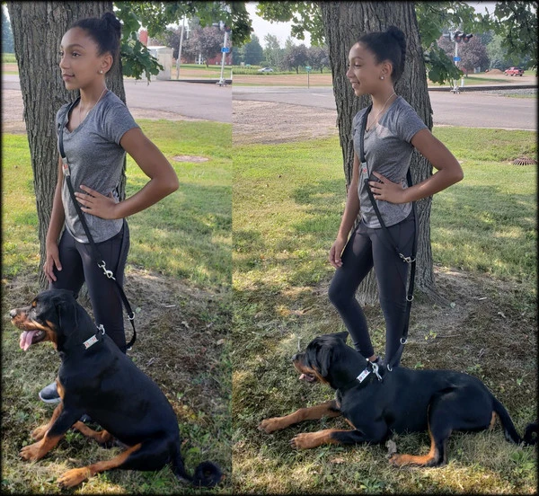 Service Dog Collar W/ Chrome Service Dog ID Tag 3 Service Dog Collar W/ Chrome Service Dog ID Tag - Image 3