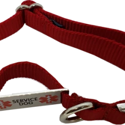 Service Dog Collar W/ Chrome Service Dog ID Tag 17 Service Dog Collar W/ Chrome Service Dog ID Tag -Puppy`s Store 407018 6 full 19762.1638911476
