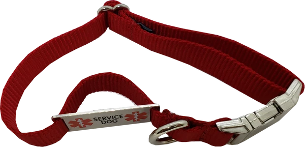 Service Dog Collar W/ Chrome Service Dog ID Tag 6 Service Dog Collar W/ Chrome Service Dog ID Tag - Image 6