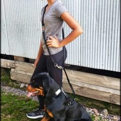 Service Dog Collar W/ Chrome Service Dog ID Tag 18 Service Dog Collar W/ Chrome Service Dog ID Tag -Puppy`s Store 407018 7 full 23662.1638911478