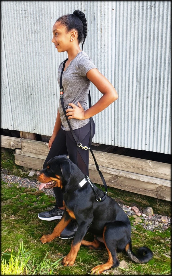 Service Dog Collar W/ Chrome Service Dog ID Tag 7 Service Dog Collar W/ Chrome Service Dog ID Tag - Image 7