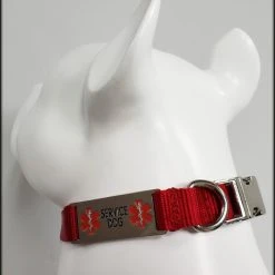 Service Dog Collar W/ Chrome Service Dog ID Tag 19 Service Dog Collar W/ Chrome Service Dog ID Tag -Puppy`s Store 407018 8 full 61633.1638911479