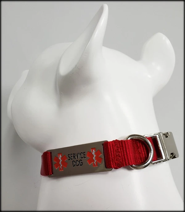 Service Dog Collar W/ Chrome Service Dog ID Tag 8 Service Dog Collar W/ Chrome Service Dog ID Tag - Image 8